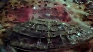 The Secret of the Giant Oyster The Secret of the Giant Oyster