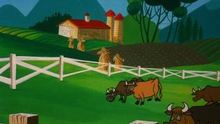 Mr. Fibber Mr. Fibber