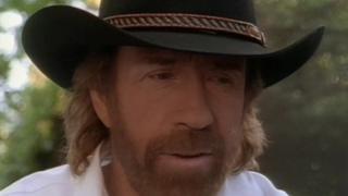 Tiger's Eye Tiger's Eye