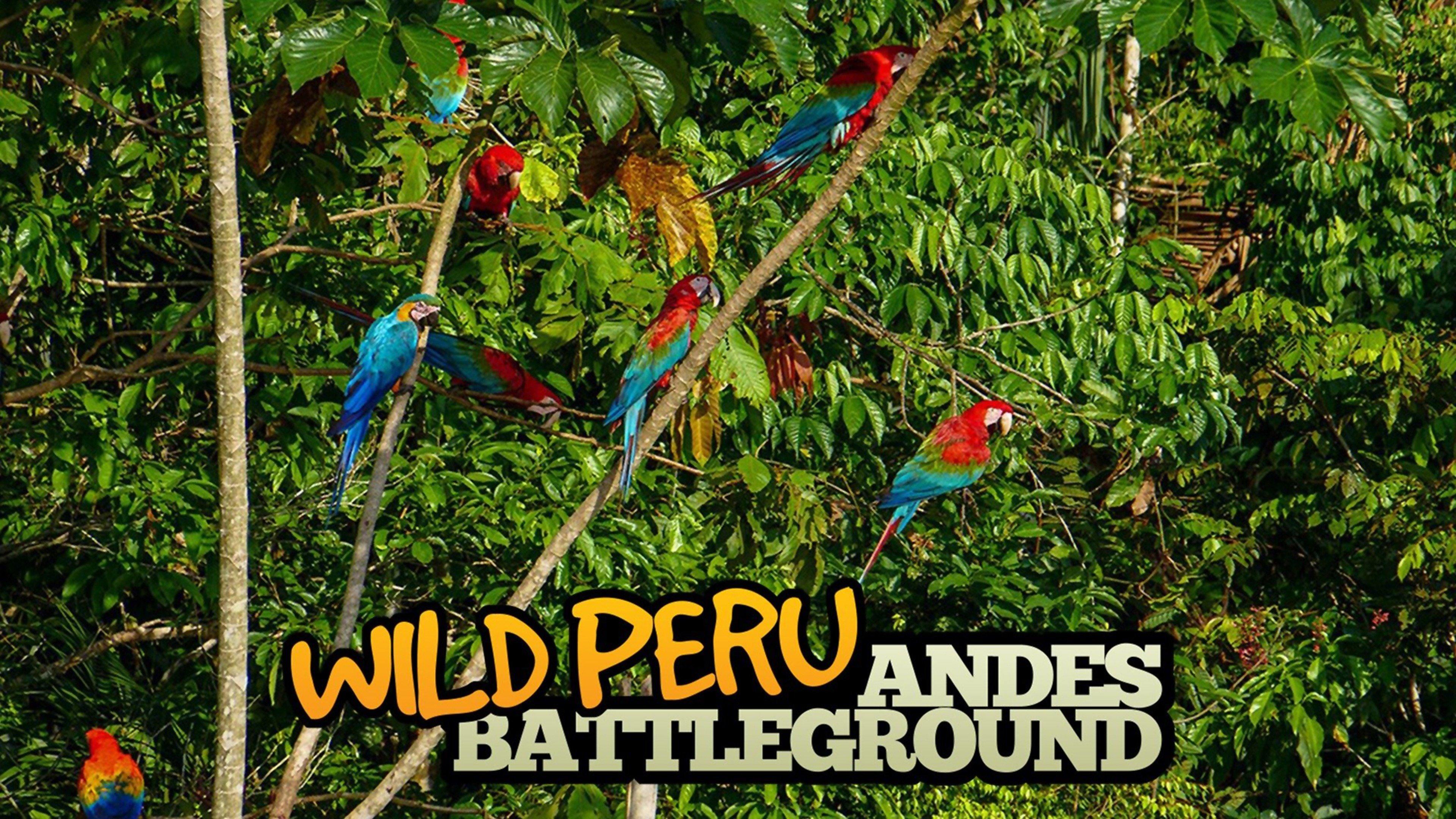 Watch Wild Peru: Andes Battleground Streaming on Philo