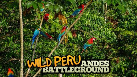 Wild Peru: Andes Battleground