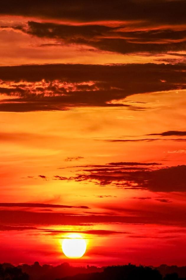 Wild Peru: Andes Battleground