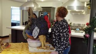 Tricked Out Turkey Tricked Out Turkey