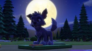 Pups and the Werepuppy!; Pups Save a Sleepwalking Mayor