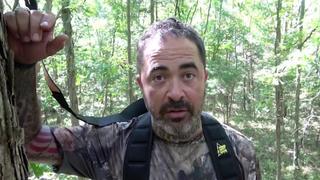 Kentucky & Ohio Whitetails