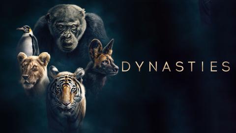 Dynasties