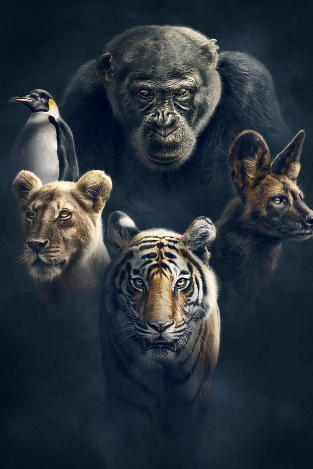 Planet Earth: Dynasties