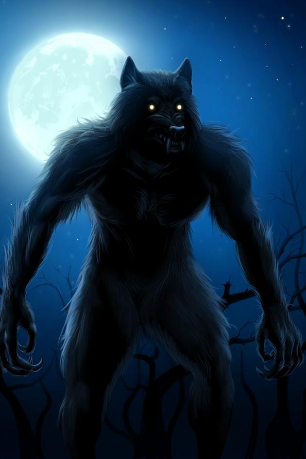 MonsterLands: Werewolf Encounters