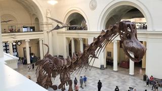 Mysteries at the Museum