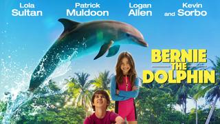 Bernie the Dolphin