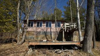 Paws, Present and Future Paws, Present and Future