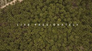 Live Passionately: The Story of Monsta Surf