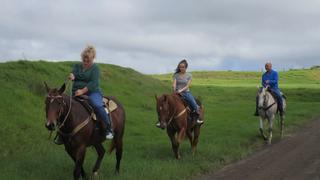 Seeking Small Town Charm on the Big Island Seeking Small Town Charm on the Big Island
