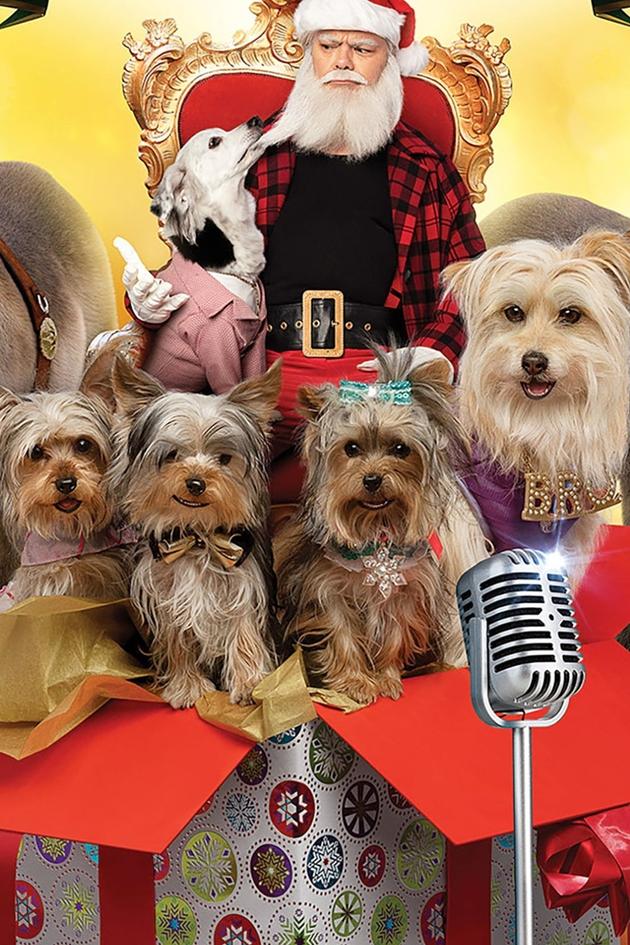 Puppy Star Christmas