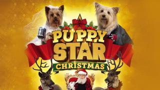 Puppy Star Christmas