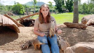 Meerkats and Pythons Meerkats and Pythons