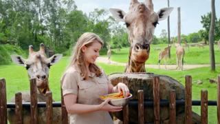 Giraffes and Gila Monsters Giraffes and Gila Monsters