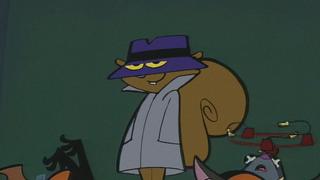 Stunt Dogs; Doctor O; Return of Red