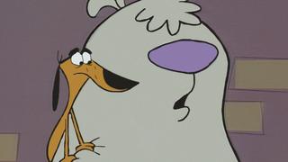 Door Jam; Gold Flipper; Where's the Bone? Door Jam; Gold Flipper; Where's the Bone?