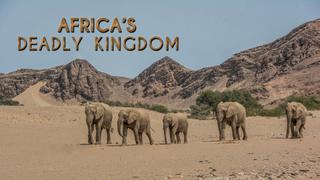 Africa's Deadly Kingdoms