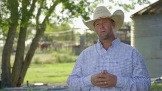 The Cowboy Way