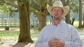 Crazy Rich Texans Crazy Rich Texans