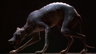 Wild West Mummy, Chupacabra and Haunting in Connecticut Wild West Mummy, Chupacabra and Haunting in Connecticut