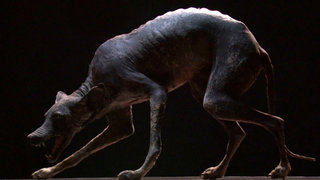 Wild West Mummy, Chupacabra and Haunting in Connecticut Wild West Mummy, Chupacabra and Haunting in Connecticut