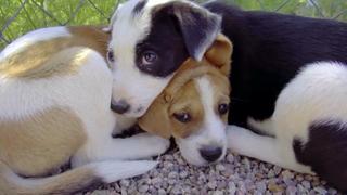 Music Is Medicine Music Is Medicine