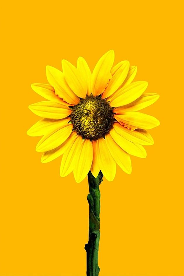 Tyler Perry's Daddy's Little Girls