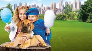 Chestnut: Hero of Central Park
