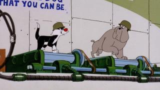 Bayou on the Half Shell Bayou on the Half Shell