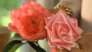 Ribbons and Bows; Garden Cake; Grapefruit; Pantry Organizing