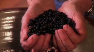 Urban Archaeology; Chocolate Curls and Cakes; Potpourri