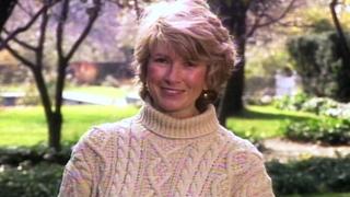 Bottle Gardening; Wall Painting; Decorative Boxes