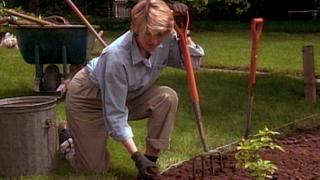 Peonies; Pasta; Staking Tomatoes Peonies; Pasta; Staking Tomatoes