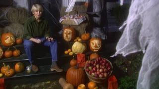 Halloween Pumpkins; Cookies; Costumes; Decorating