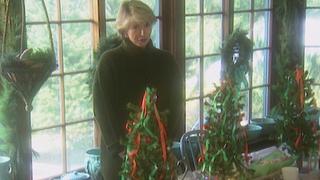Winter Window Box; Chicken Stock; East Hampton House Tour