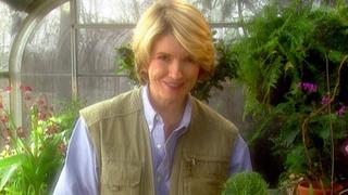 Martha Stewart Living