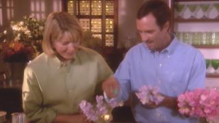 Martha Stewart Living