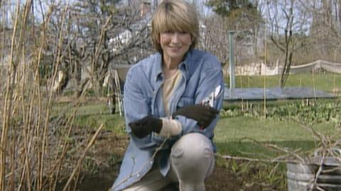 Bacon-Wrapped Meatloaf; Japanese Maples in Urns