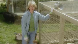 Martha Stewart Living