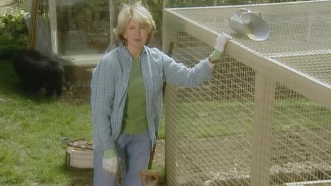 Vegetable Garden; Planting Gourds; Spring Vegetable Pasta