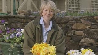 Martha Stewart Living