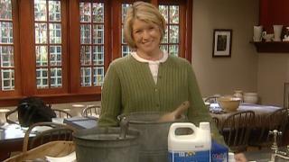 Martha Stewart Living
