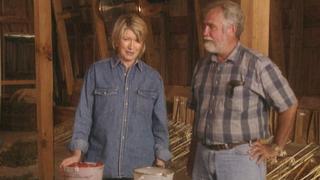 Martha Stewart Living