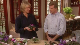 Martha Stewart Living