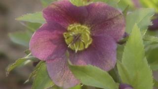 100th Issue of Martha Stewart Living 100th Issue of Martha Stewart Living