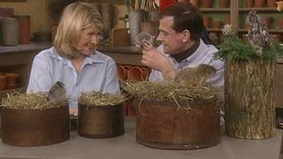 Baby Show: New Baby Good Things; Alphabet Cookies