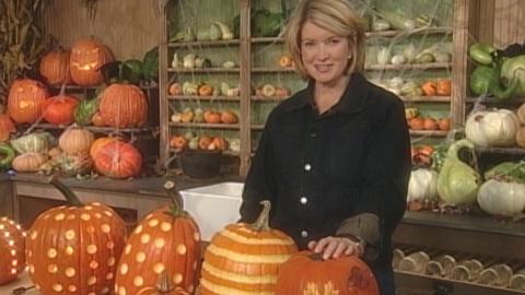Best of Pumpkin Ideas